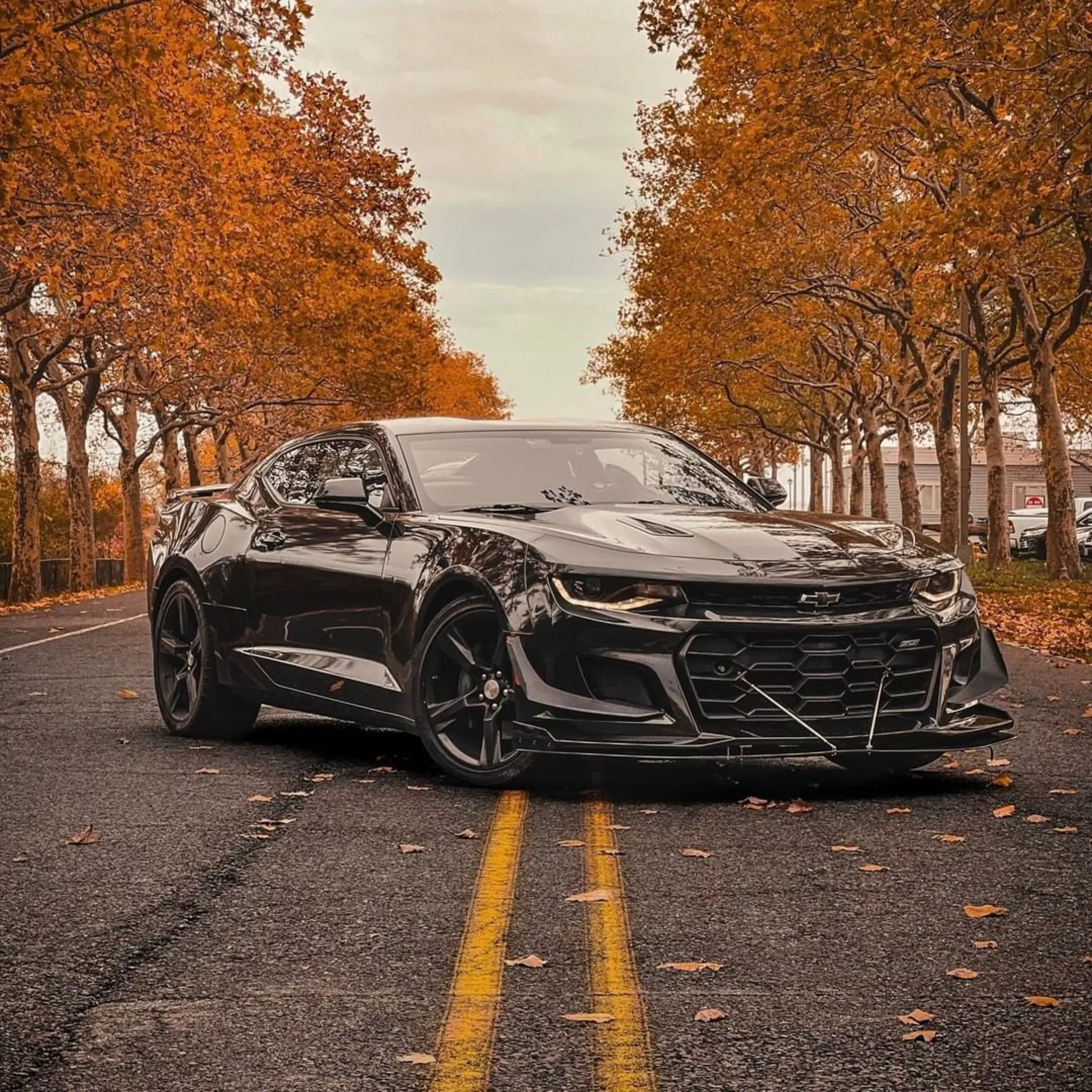 Coal Black (MT01-HD) Vinyl Wrap