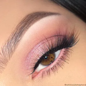 Colourpop Eyeshadow Palette (all that)