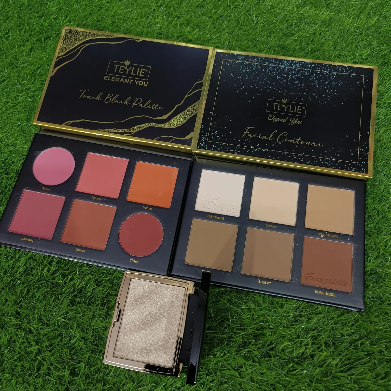 (Combo of 3) TEYLIE TOUCH BLUSH PALETTE   TEYLIE FACIAL CONTOURS   HOJO HIGHLIGHTER