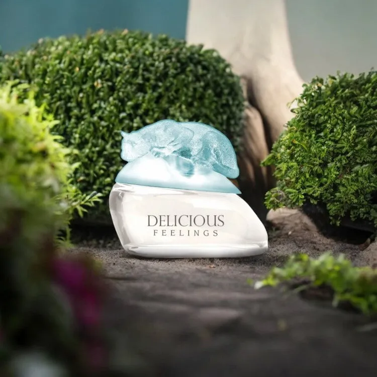 Delicious Feelings by Gale Hayman Eau De Toilette Spray (New Packaging)