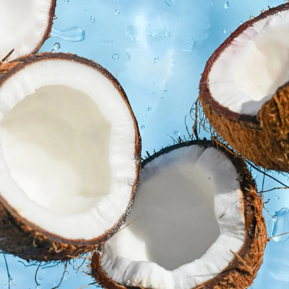 EOS Evolution Of Smooth Shea Butter Heal   Repair Body Cream Coconut Water