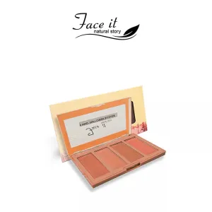 Face It Contour Kit 4in1