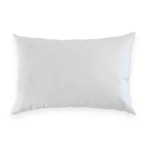Feather Cushion Insert for 40 x 60 Cover