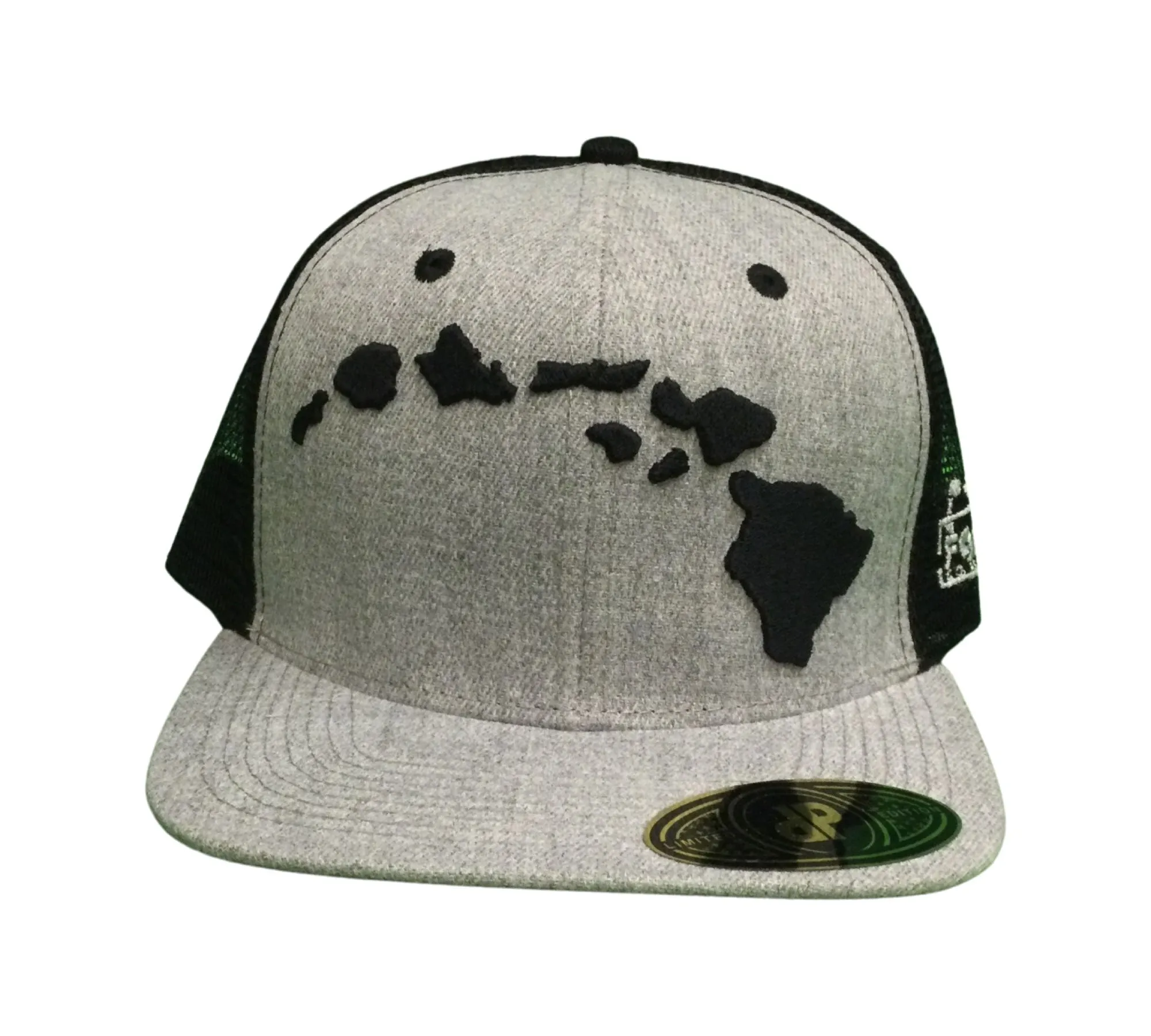Foam Co Hat 3d Puff Island Chain / side logo Snapback