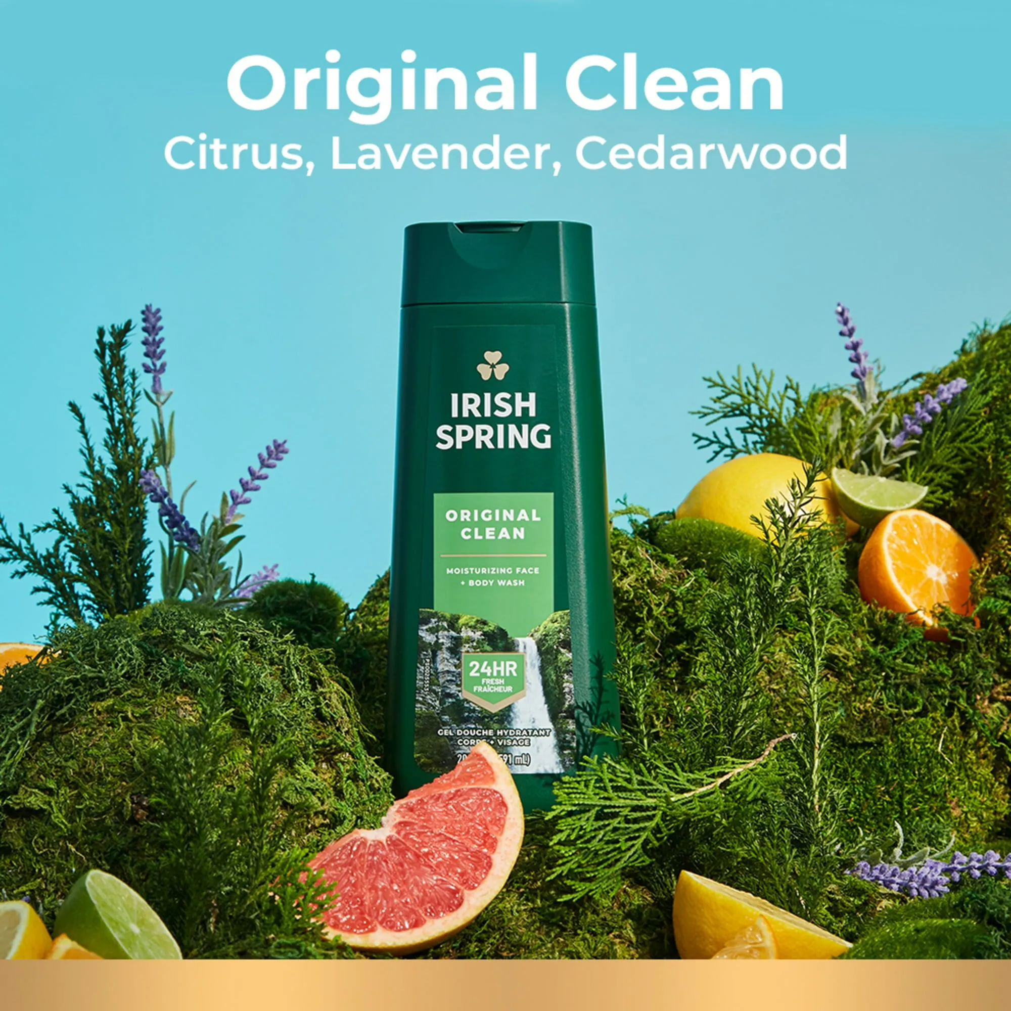 Irish Spring Original Clean Body Wash 20Oz