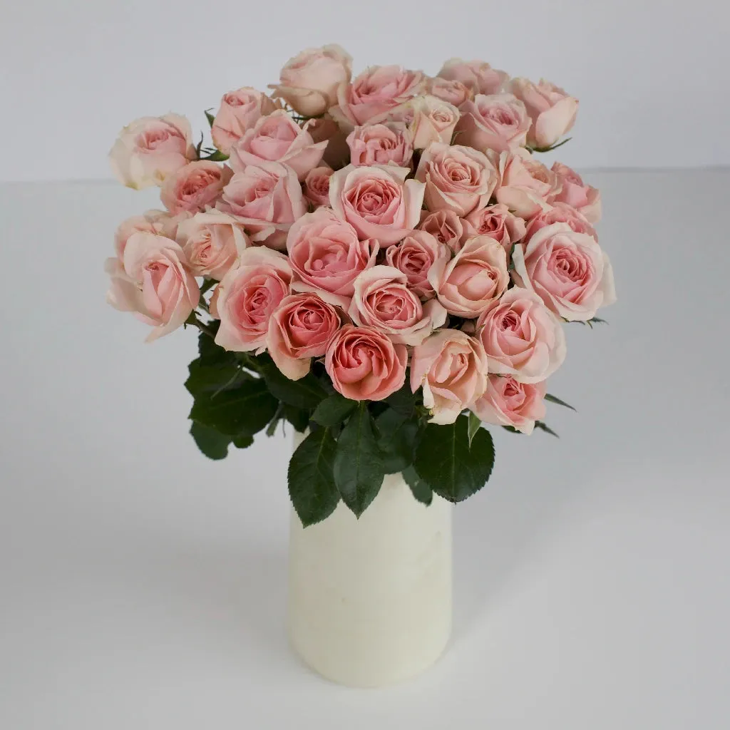 La Vie en Blush Spray Roses