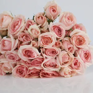 La Vie en Blush Spray Roses