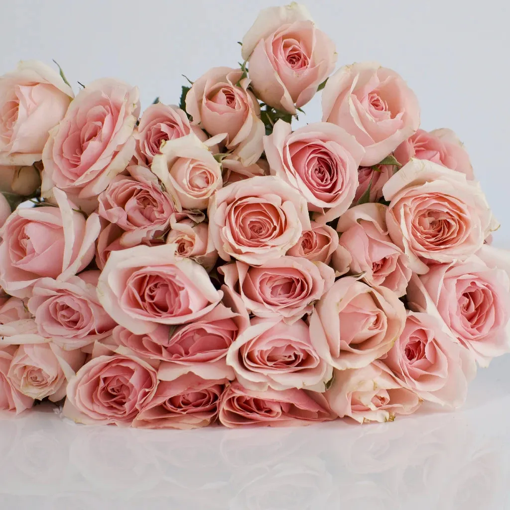 La Vie en Blush Spray Roses