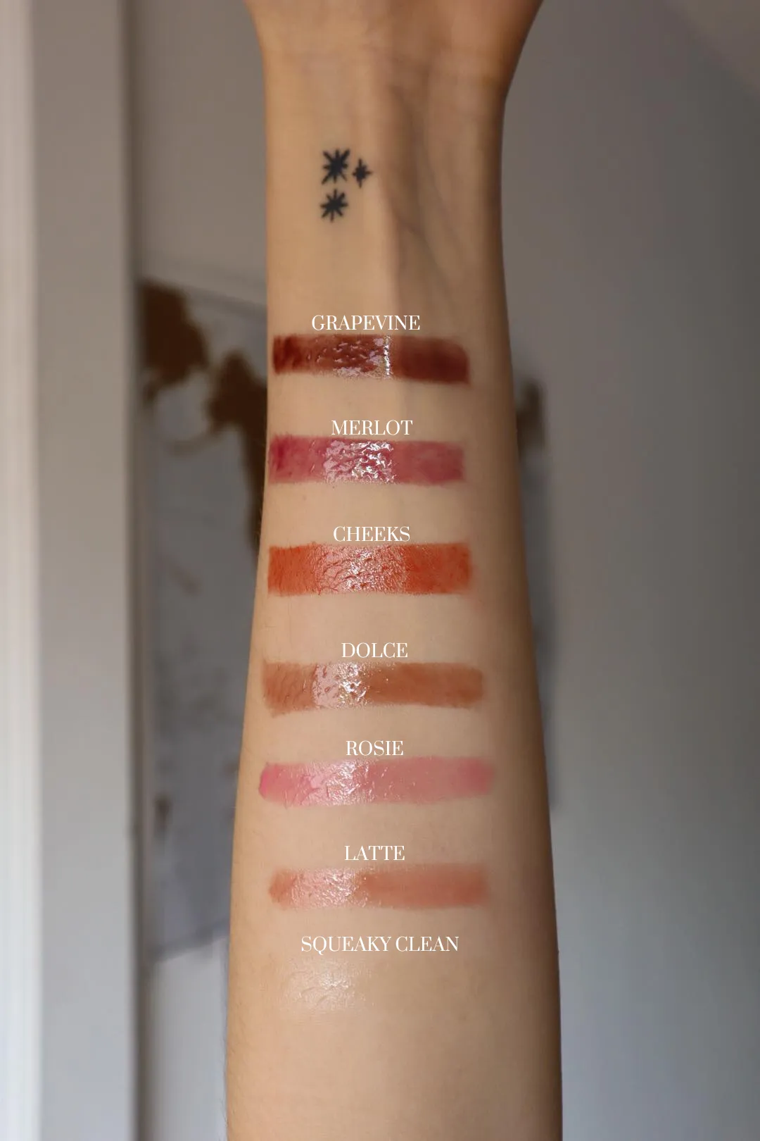 Lip Moisturizers