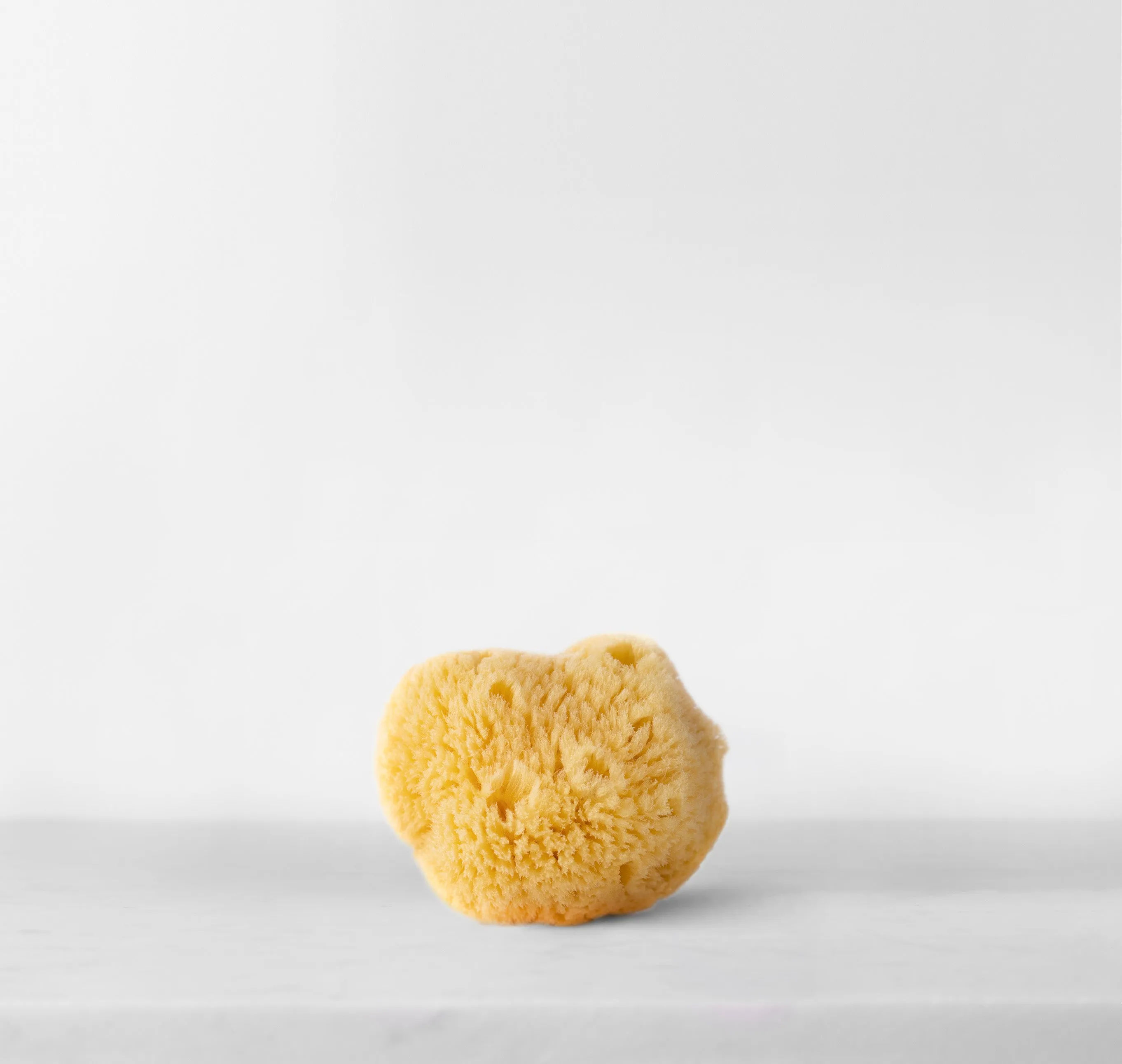 Lūo Facial Sea Sponge