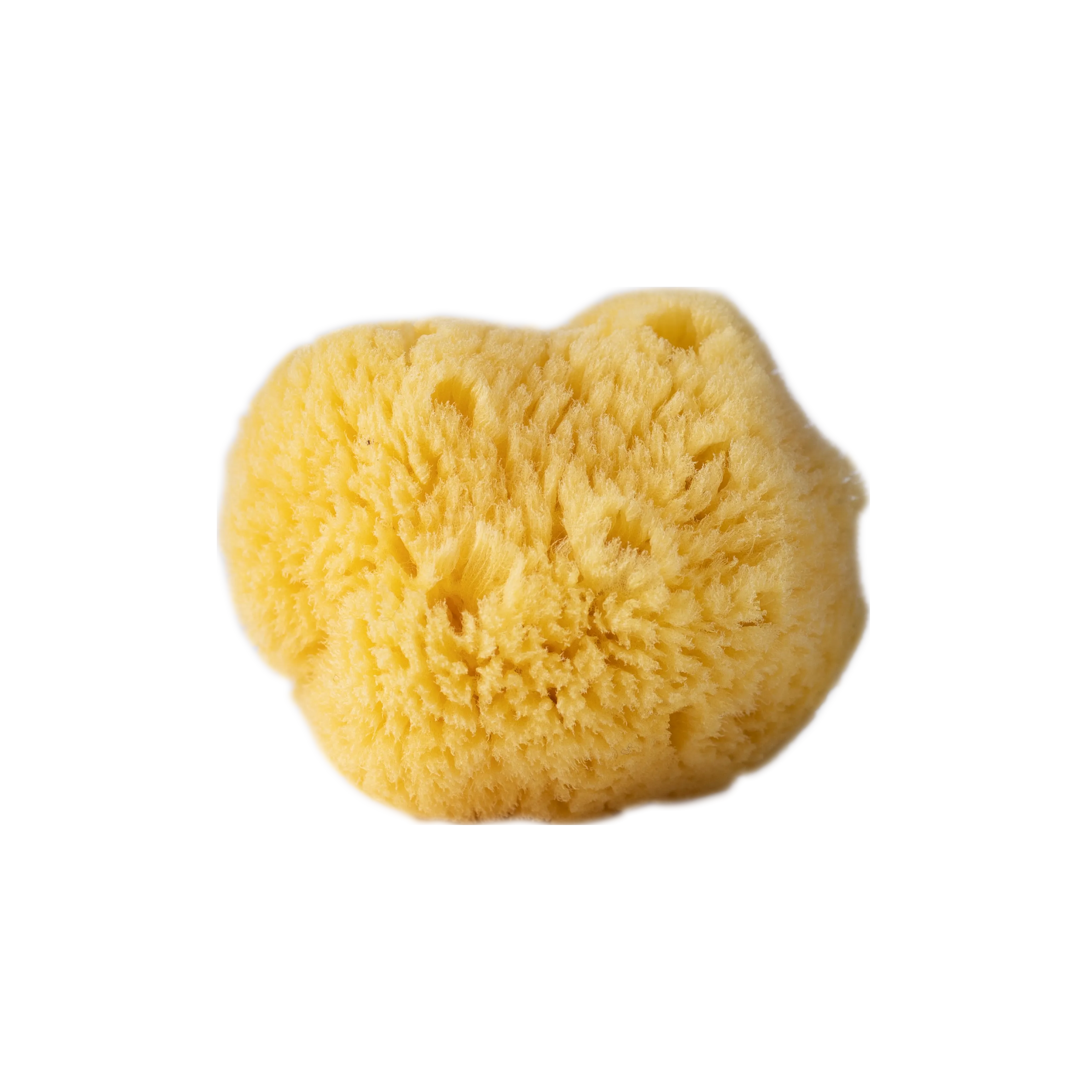 Lūo Facial Sea Sponge