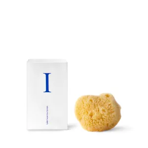 Lūo Facial Sea Sponge