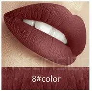 Long Lasting Waterproof Vegan Lipstick
