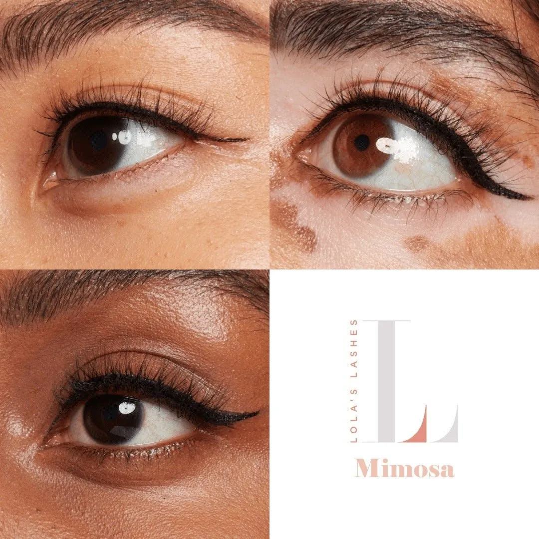 Mimosa 'Classic' Magnetic Lash Starter Set