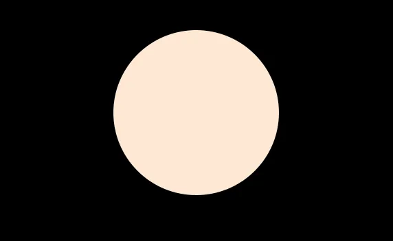 N25 FLAWLESS FINISH FOUNDATION