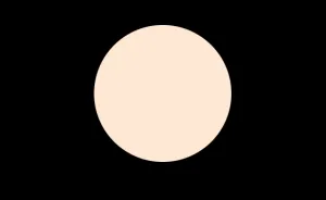 N25 FLAWLESS FINISH FOUNDATION