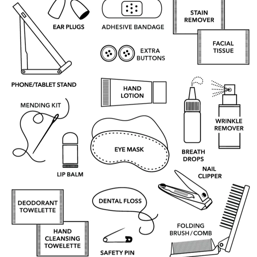 Pinch Provisions - Bon Voyage Travel Kit