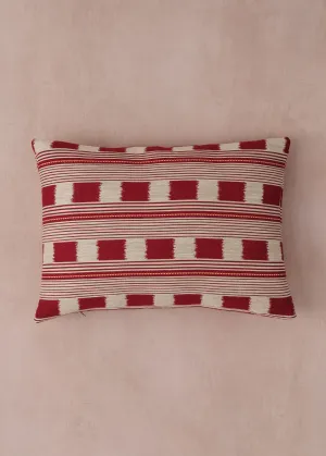Ruby Lost & Found Cushion