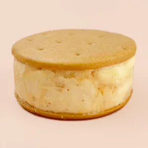Salted Caramel - Ice Cream Sandwich