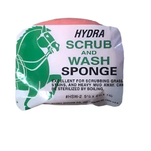 Scrub And Wash Sponge