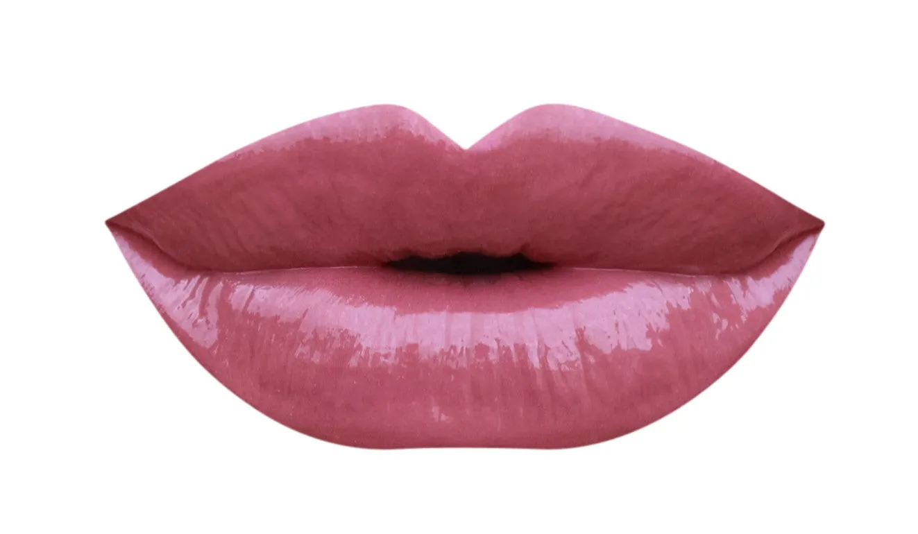 Sexy Vegan Lip Gloss