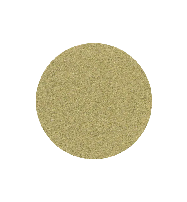 SPECTACLE Single Shadow