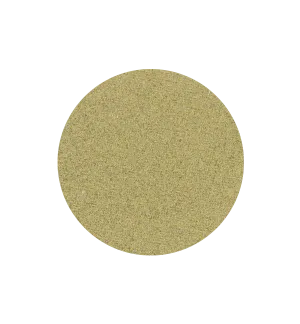 SPECTACLE Single Shadow