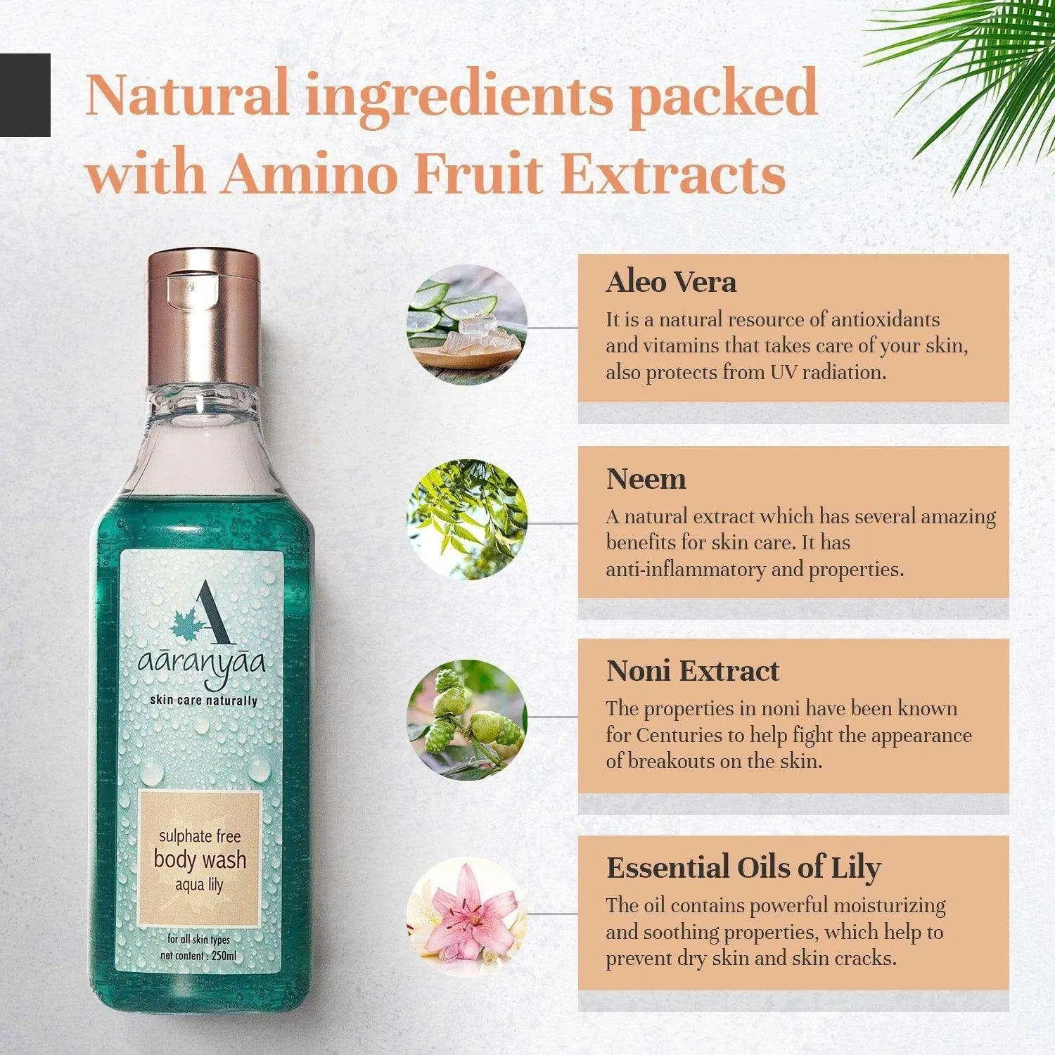 Sulphate Free Body Wash Aqua Lily