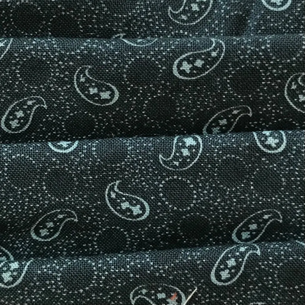 Surgical-Style Face Mask Navy Paisley