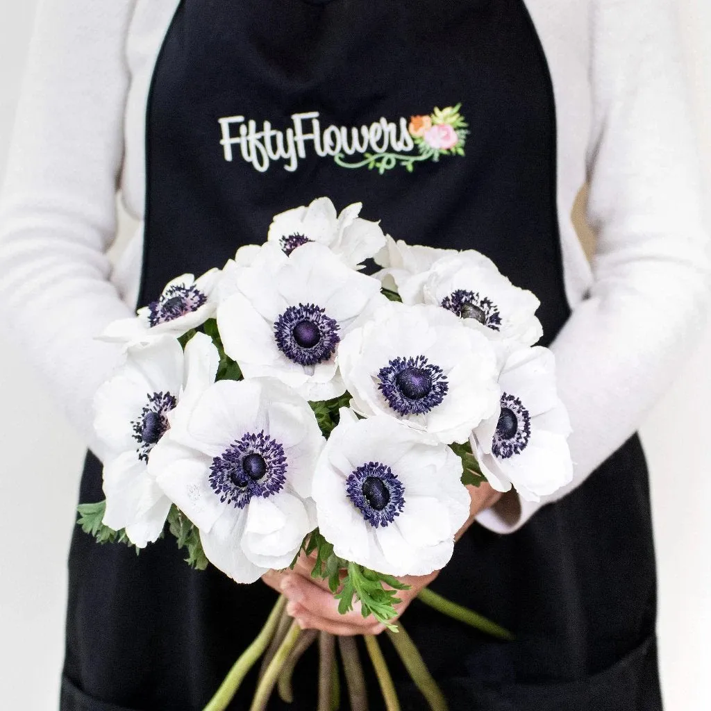 White with a Hint of Blush Fresh Cut Anemone Flower